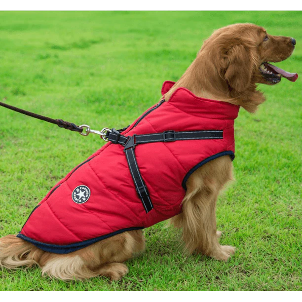 🐶The Cavinic™ – Waterproof Winter Jacket with Built-in Harness🐾