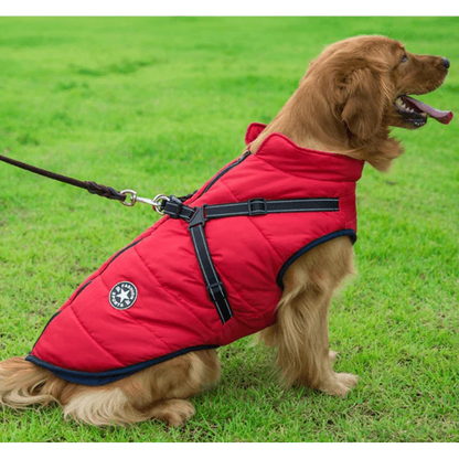 🐶The Cavinic™ – Waterproof Winter Jacket with Built-in Harness🐾