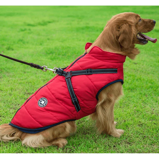 🐶The Cavinic™ – Waterproof Winter Jacket with Built-in Harness🐾