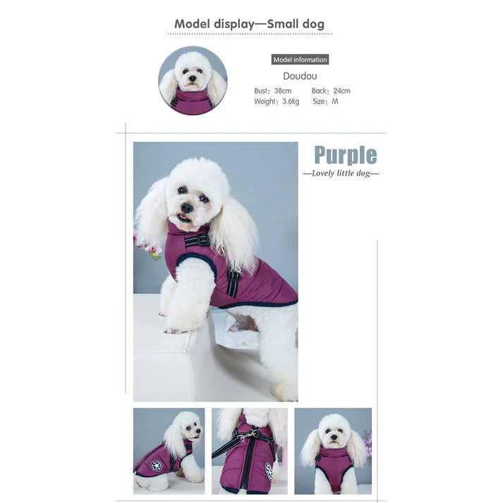 🐶The Cavinic™ – Waterproof Winter Jacket with Built-in Harness🐾