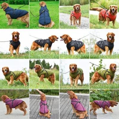 🐶The Cavinic™ – Waterproof Winter Jacket with Built-in Harness🐾