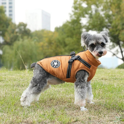 🐶The Cavinic™ – Waterproof Winter Jacket with Built-in Harness🐾