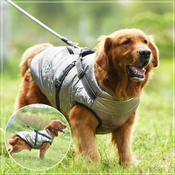 🐶The Cavinic™ – Waterproof Winter Jacket with Built-in Harness🐾