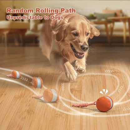 🐶The Cavinic™ – Keep Your Pet Relaxed, Happy & Content 🐾