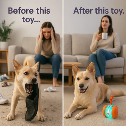 🐶The Cavinic™ – Keep Your Pet Relaxed, Happy & Content 🐾