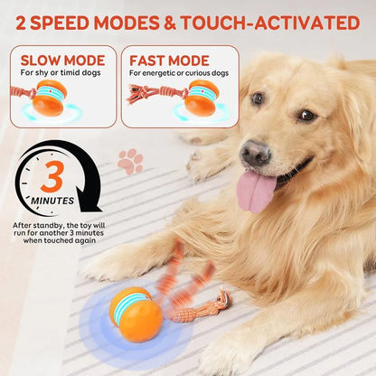 🐶The Cavinic™ – Keep Your Pet Relaxed, Happy & Content 🐾
