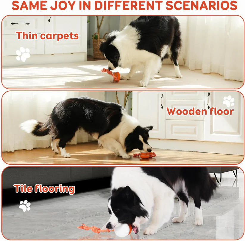🐶The Cavinic™ – Keep Your Pet Relaxed, Happy & Content 🐾