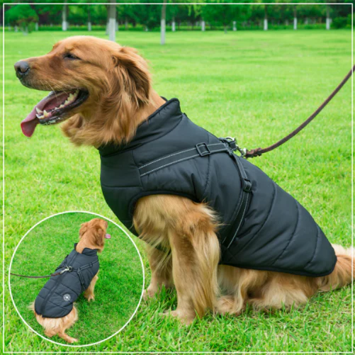🐶The Cavinic™ – Waterproof Winter Jacket with Built-in Harness🐾