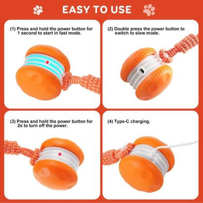 🐶The Cavinic™ – Keep Your Pet Relaxed, Happy & Content 🐾