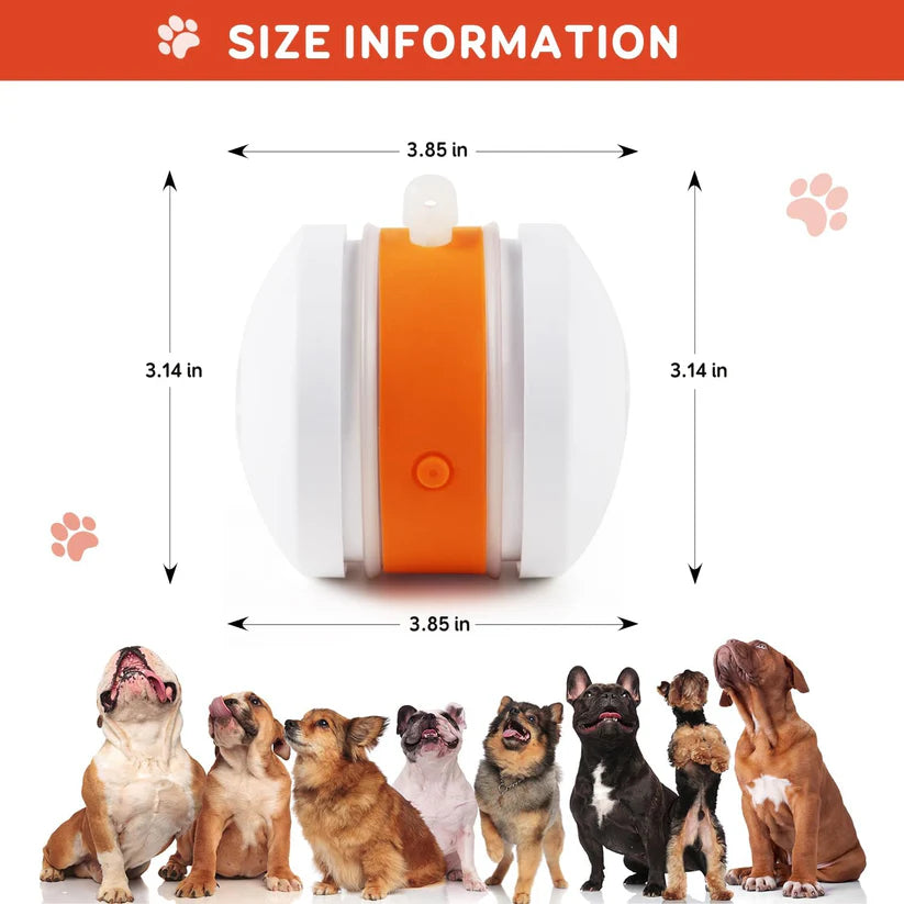 🐶The Cavinic™ – Keep Your Pet Relaxed, Happy & Content 🐾