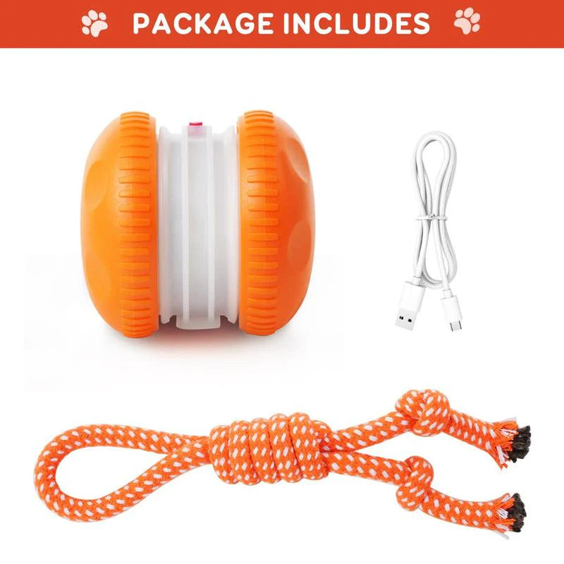🐶The Cavinic™ – Keep Your Pet Relaxed, Happy & Content 🐾